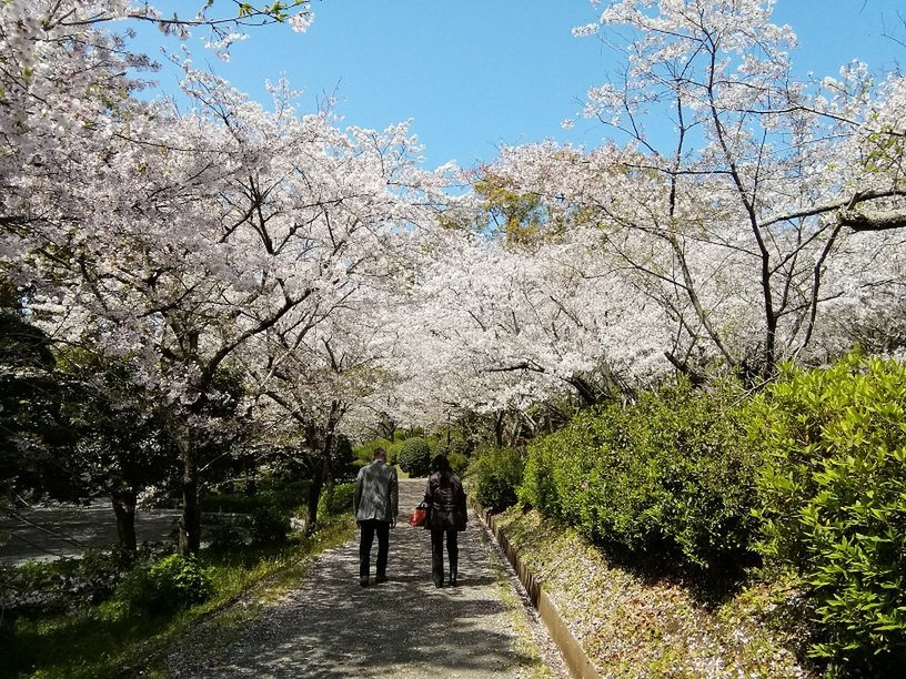 🌸 오기 공원(오기코엔) 이미지 4